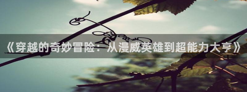 动漫之家下载的漫画在哪个文件夹：《穿越的奇妙冒险：从漫威英雄到超能力大亨》