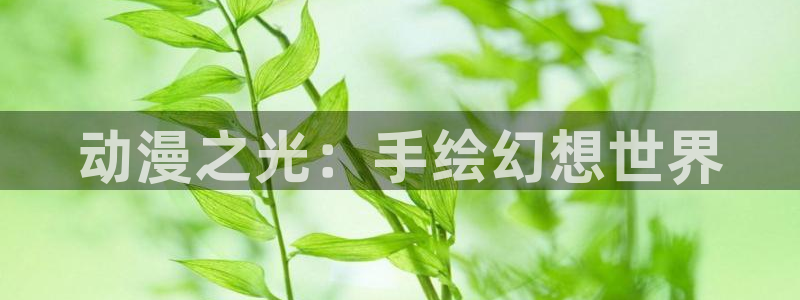 动漫之家官网下载：动漫之光：手绘幻想世界
